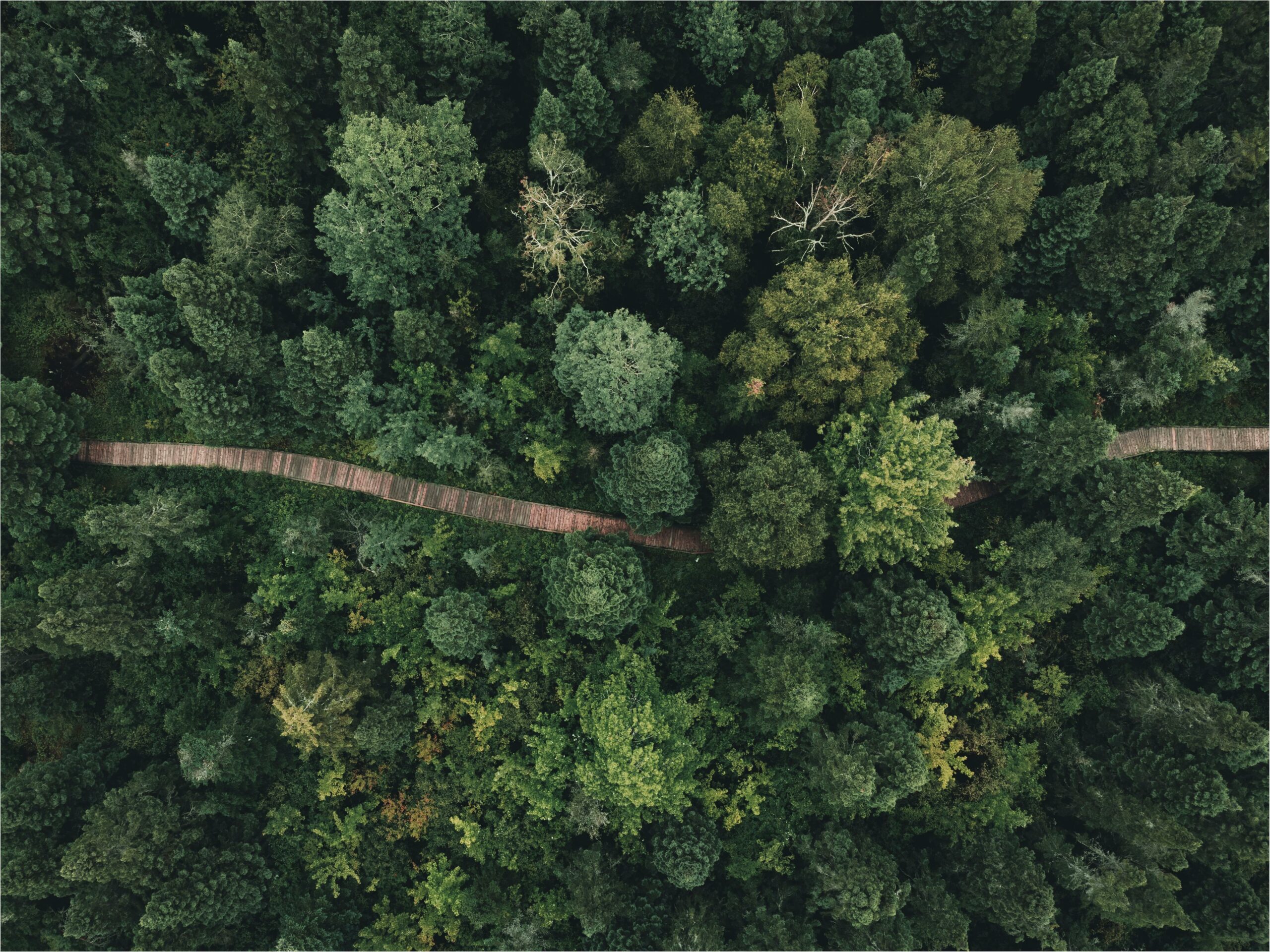 pexels-introspectivedsgn-9408545